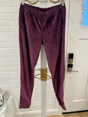 Ivivva Plum Velour Jogger Pants